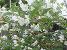 DSCN3254