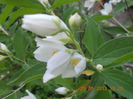 DSCN3255