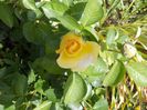 DSCN0429