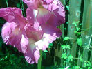 Imag009