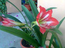 Imag012