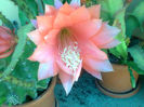 Imag027