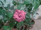 Imag053