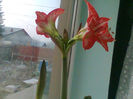 Imag055