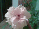 Imag059