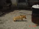 Picture 089