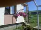 26052013560