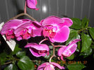 DSCN3288