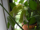 DSCN3287