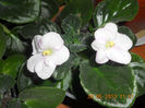 DSCN3284