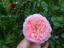 abraham darby