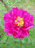 DSCN6736
