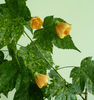 P1440262