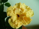 P1440220