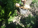 2013-05-10 13.29.47
