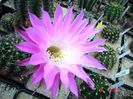 DSC01013
