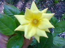 Fotogr.1316