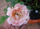 DSCF1436