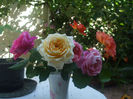 DSCF1379