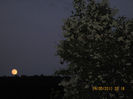 de luna plina.....