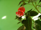 DSCN9463