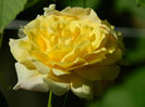 DSCN9466
