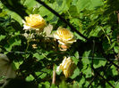 DSCN9468