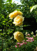 DSCN9473
