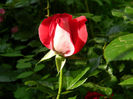DSCN9481