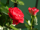 DSCN9484