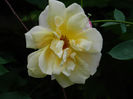 DSCN9494