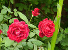 DSCN9498