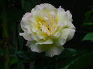 DSCN9532