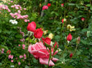 DSCN9534