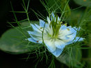 DSCN9558