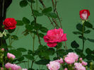 DSCN9593