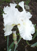 P1050825
