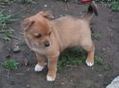AAAAA, ESTE UN GANDACEL