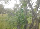 IMG_20130527_174145