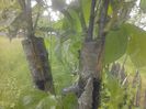 IMG_20130527_174208