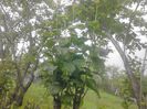 IMG_20130527_174220