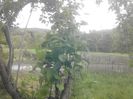 IMG_20130527_174231