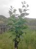 IMG_20130527_174319