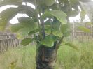 IMG_20130527_174327