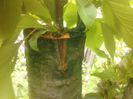 IMG_20130527_174724