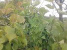 IMG_20130527_174817