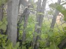 IMG_20130527_174859