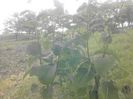 IMG_20130527_174952