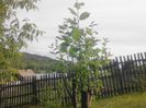 IMG_20130527_175144
