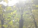 IMG_20130527_175152
